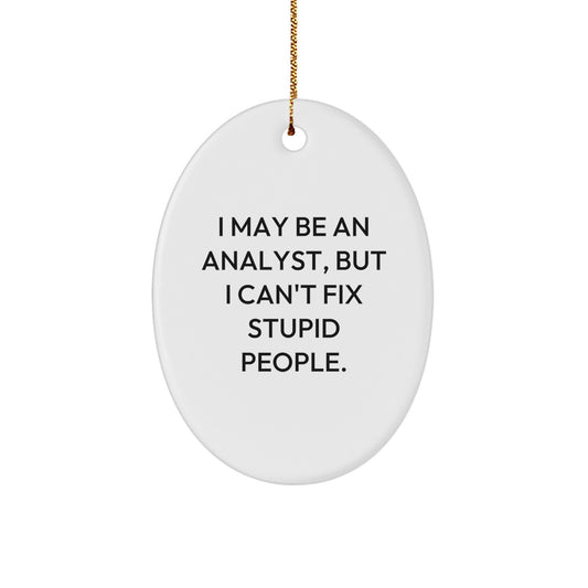 Funny Oval Ornament for Analyst Friends and Coworkers Gifts from Men or Women - I May Be An Analyst, But I Can't Fix Stupid People. Christmas Unique Gifts - Image 1