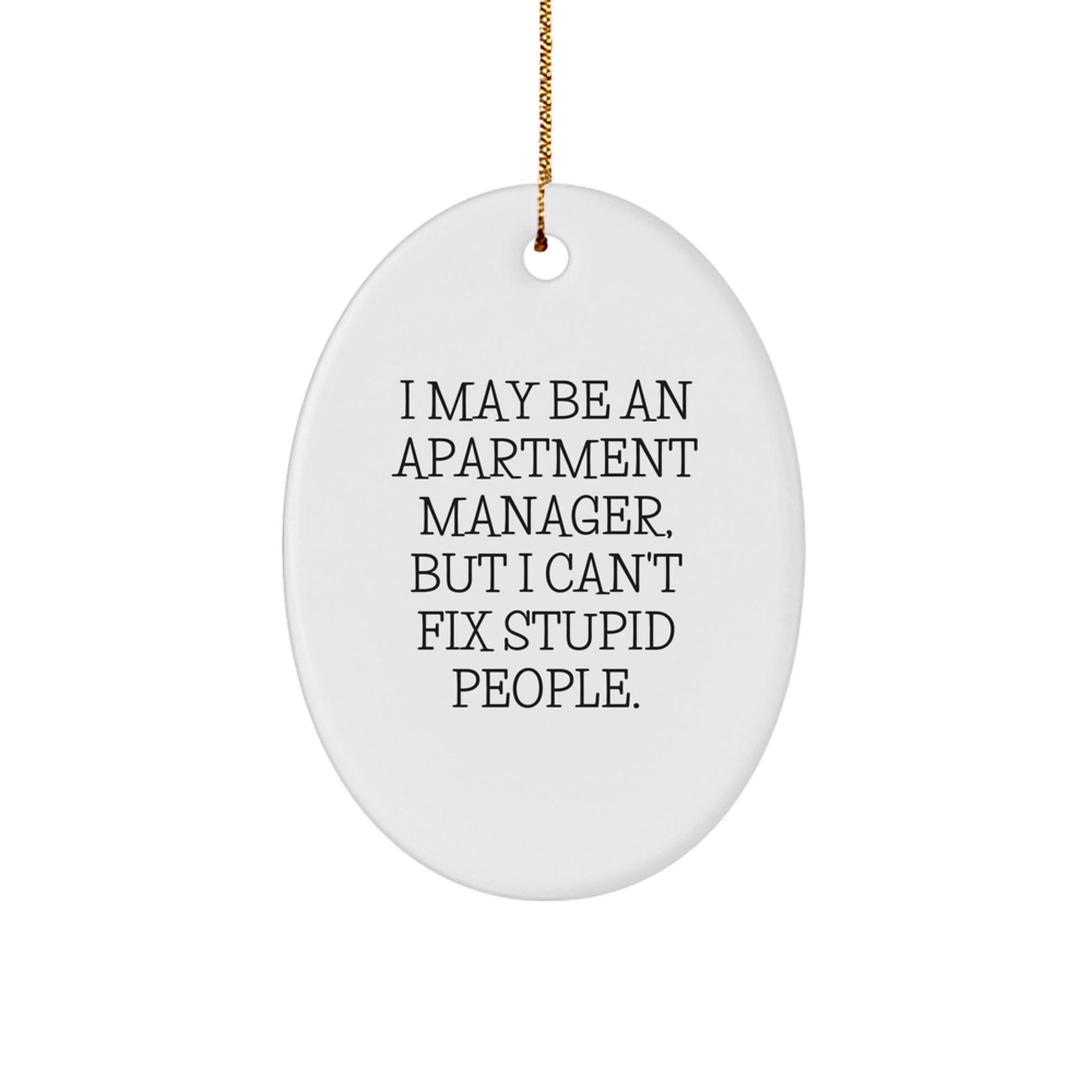 Funny Apartment Manager Christmas Unique Gifts for Men from Friends - Oval Ornament - Image 1