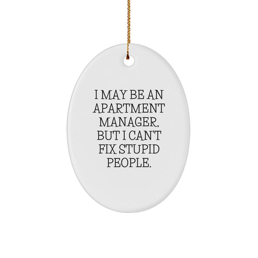 Funny Apartment Manager Christmas Unique Gifts for Men from Friends - Oval Ornament - Image 1