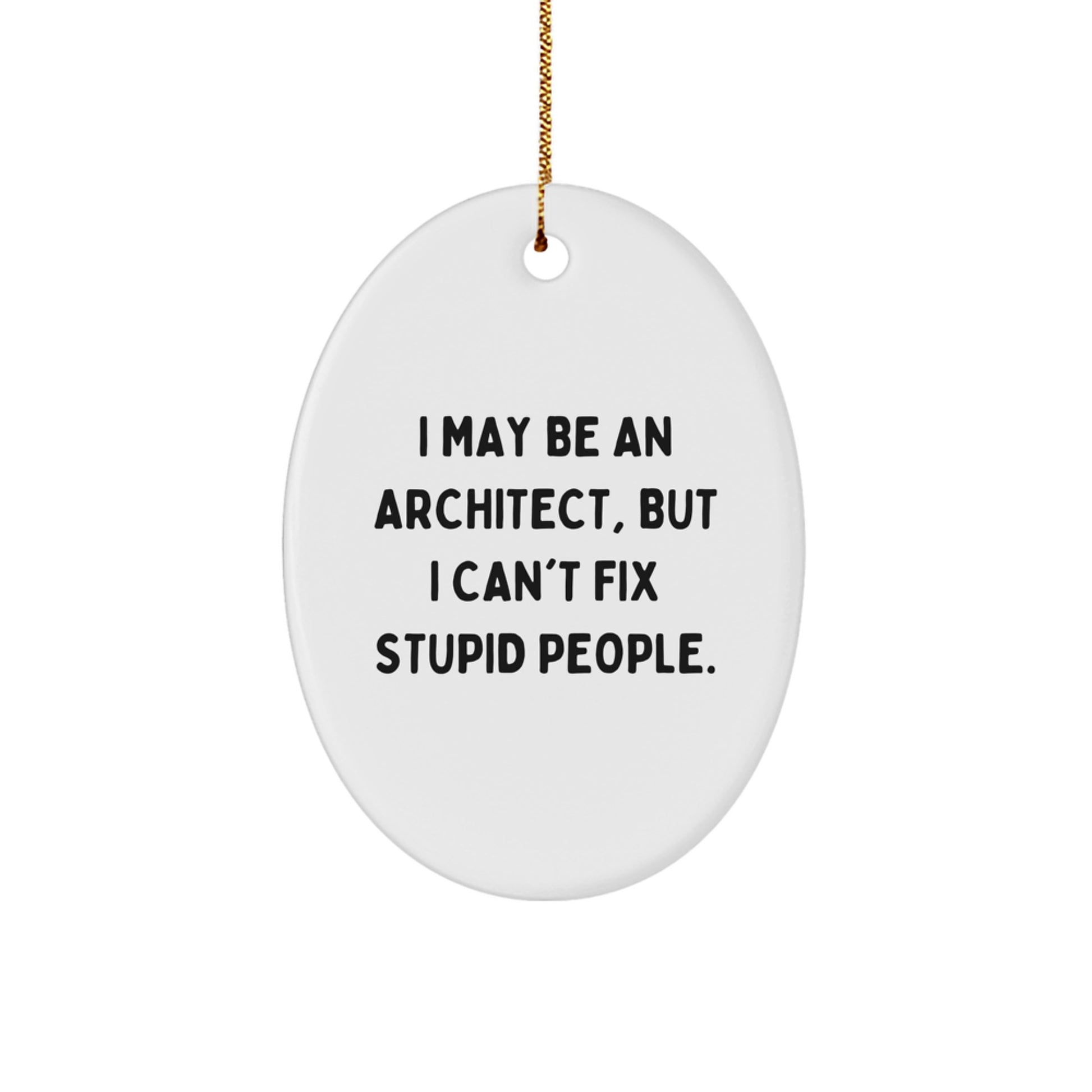 Funny Architect Oval Ornament Gifts from Men to Friends on Christmas Unique Gifts - Image 1