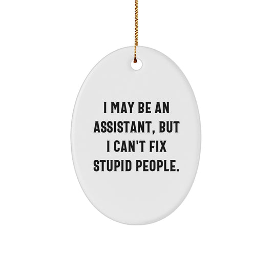 Funny Christmas Unique Gifts for Assistant - Oval Ornament with I May Be An Assistant But I Cant Fix Stupid People Quote, Gifts from Friends to Assistant - Image 1