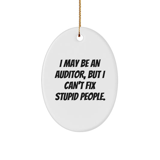 Auditor Gifts Funny Oval Ornaments Christmas Unique Gifts from Men to Auditor Friends Coworkers - Image 1