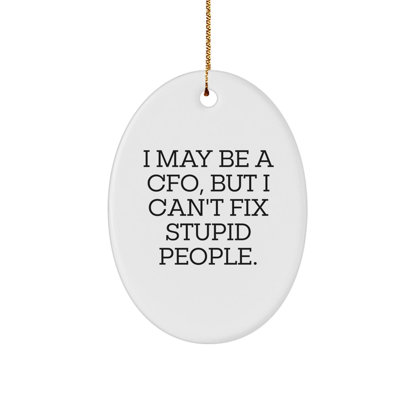 Funny CFO Oval Ornament Gifts for Men from Friends, 'I May Be A Cfo, But I Can't Fix Stupid People.' - Image 1