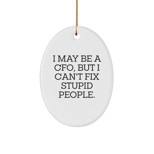 Funny CFO Oval Ornament Gifts for Men from Friends, 'I May Be A Cfo, But I Can't Fix Stupid People.' - Image 1