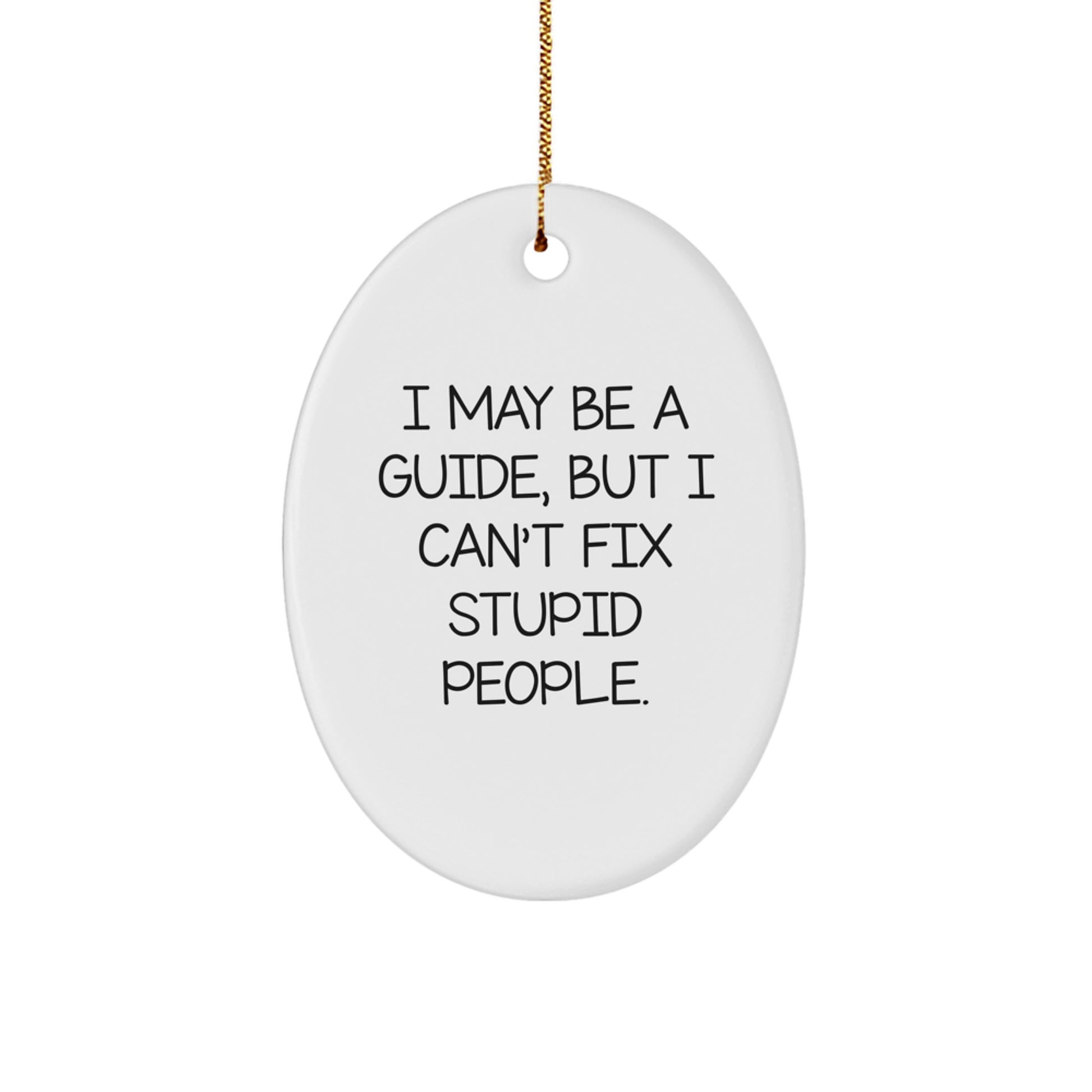 Funny Guide Gifts for Men, Women, Friends, or Coworkers - Oval Ornament, I May Be A Guide, But I Can't Fix Stupid People., Christmas Unique Gifts from Family - Image 1