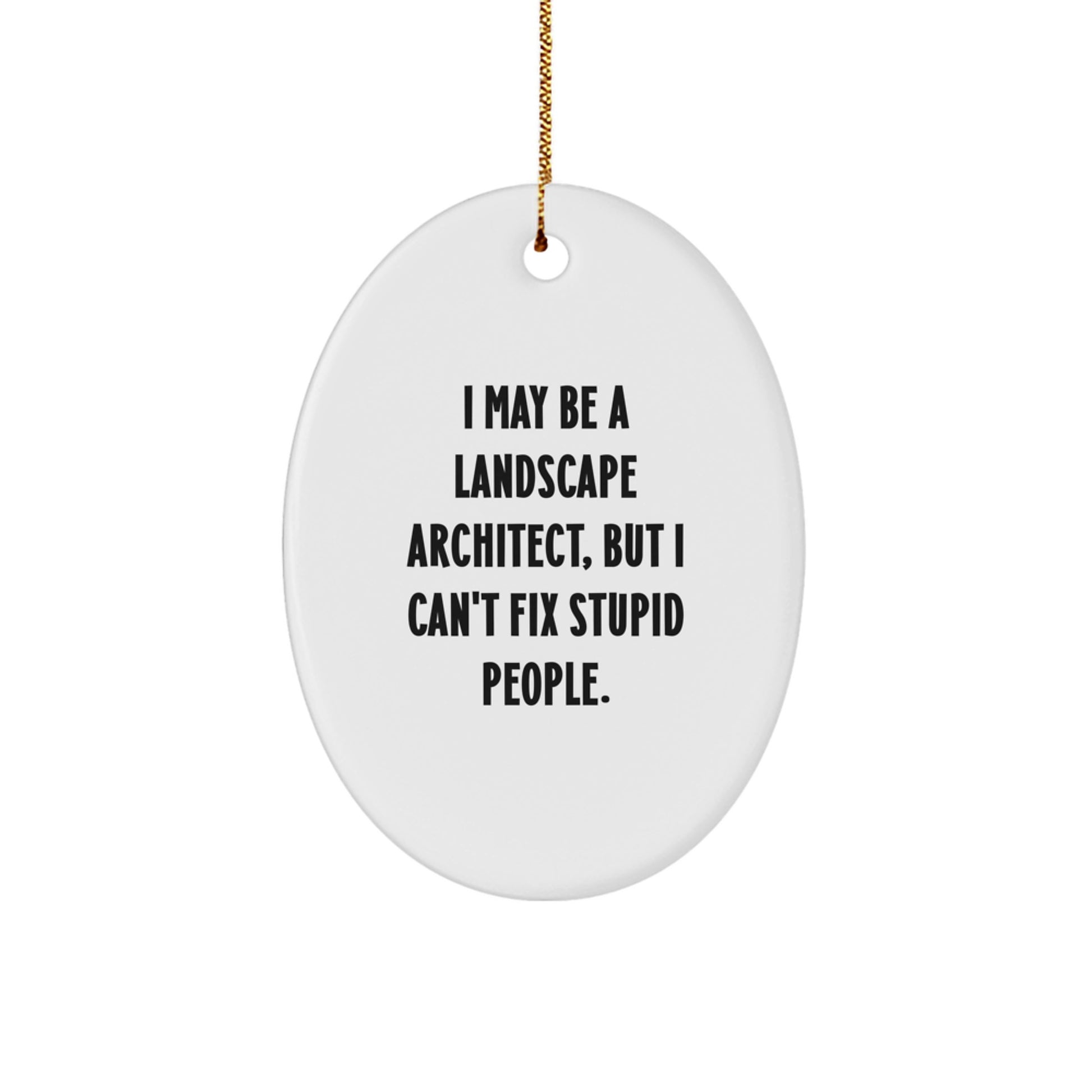 Funny Landscape Architect Gifts for Men - Oval Ornament with I May Be a Landscape Architect But Cant Fix Stupid People Humor, Gifts from Men to Coworkers, Christmas Unique Gifts - Image 1