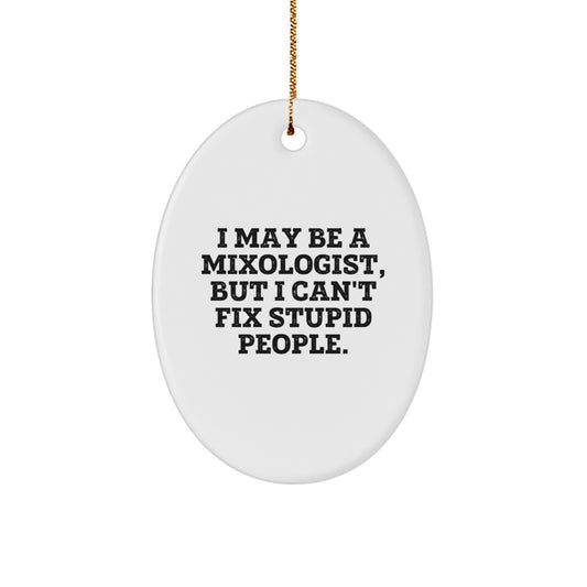 Funny Mixologist Gifts for Men from Friends, Oval Ornament with 'I May Be A Mixologist But I Can't Fix Stupid People' Quote, Christmas Unique Gift - Image 1