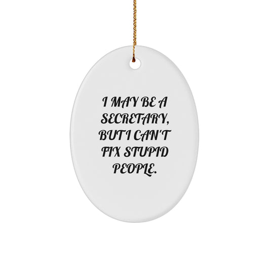 Funny Secretary Oval Ornament - Gifts from Friends and Family - I May Be A Secretary, But I Can't Fix Stupid People. - Christmas Unique Gifts for Secretary - Image 1
