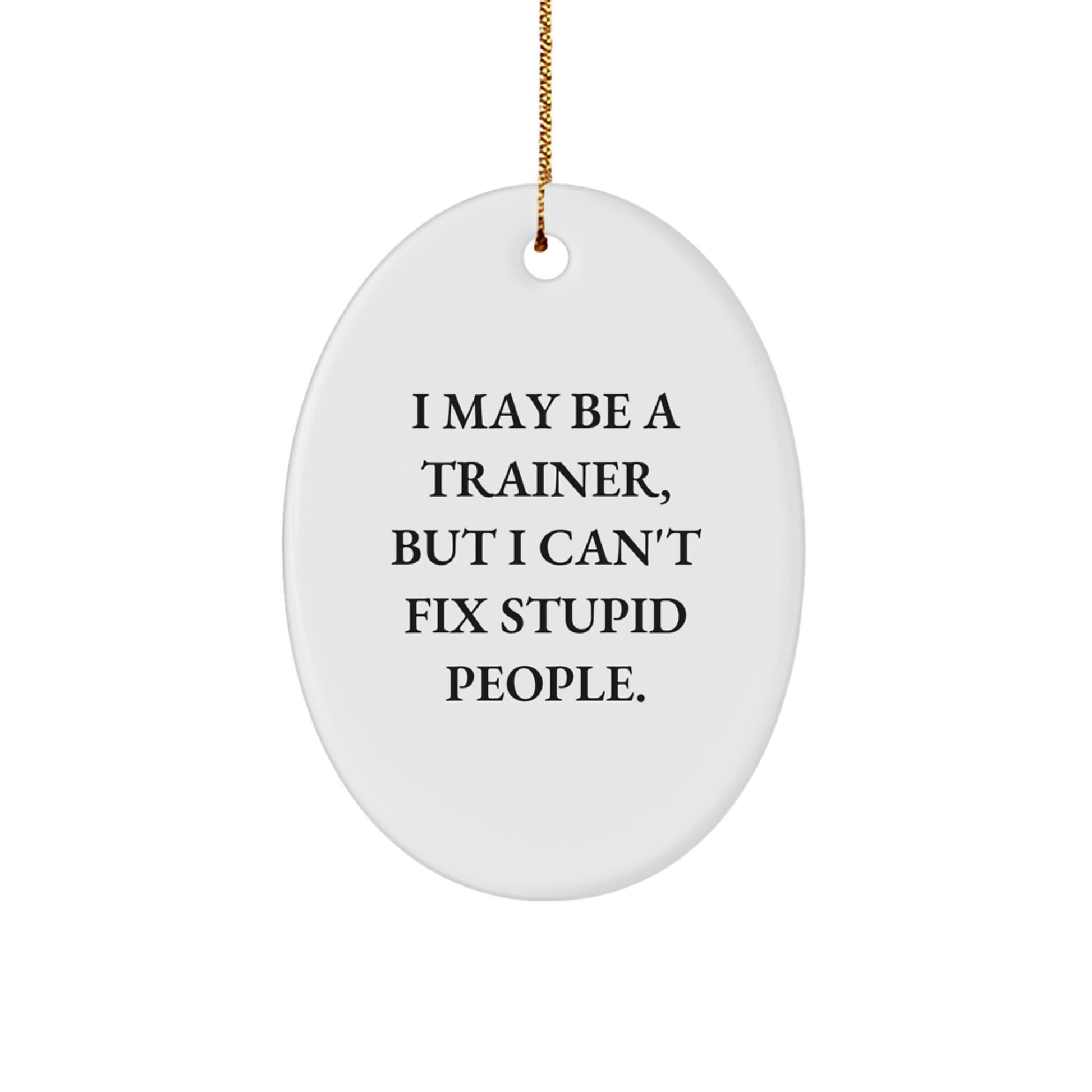 Funny Trainer Gifts from Men for Friends, 'I May Be A Trainer, But I Can't Fix Stupid People.', Oval Ornament, White Christmas Unique Gifts - Image 1