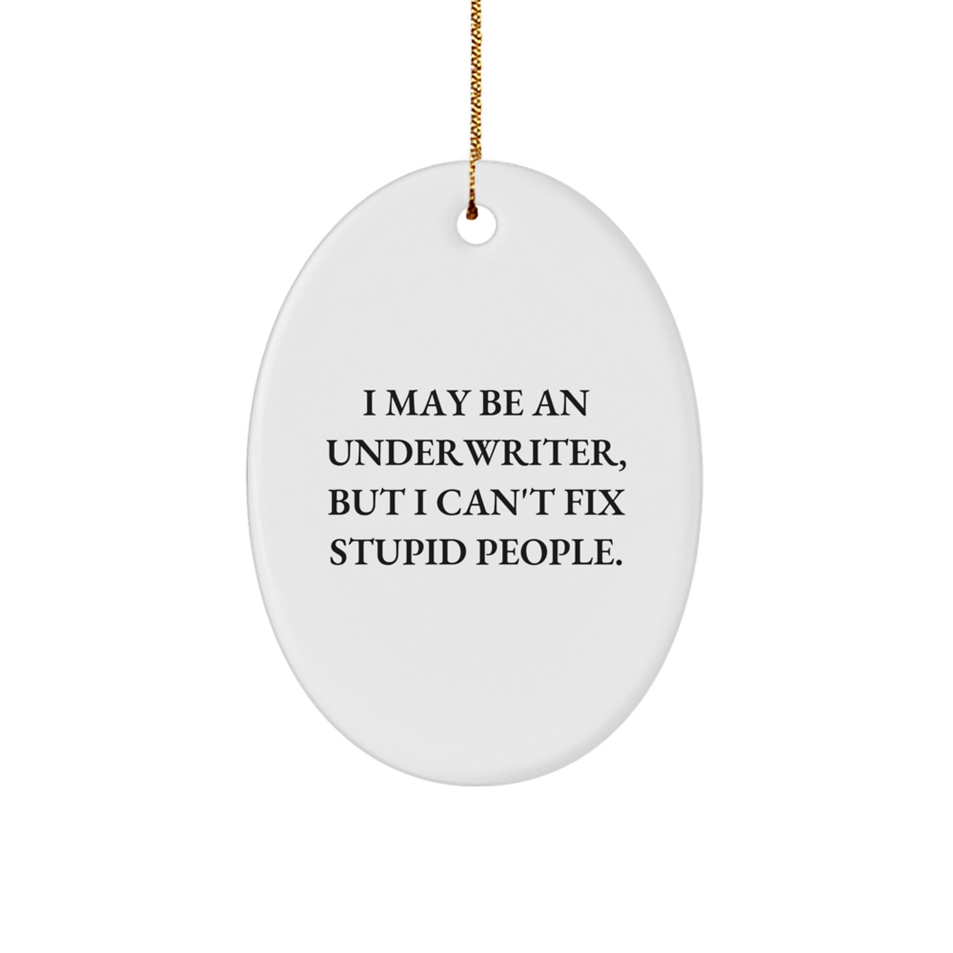 Funny Underwriter Gifts, Oval Ornament, I May Be An Underwriter But I Cant Fix Stupid People, Christmas Unique Gifts for Men, Women, Coworkers - Image 1