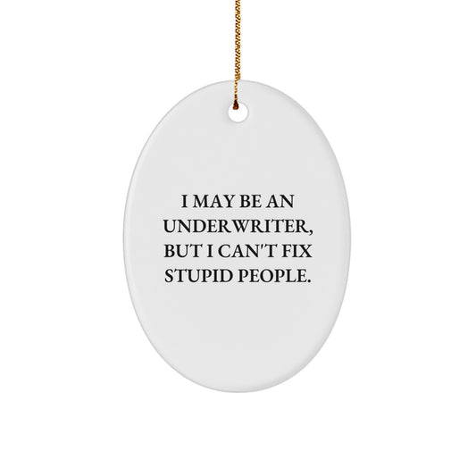 Funny Underwriter Gifts, Oval Ornament, I May Be An Underwriter But I Cant Fix Stupid People, Christmas Unique Gifts for Men, Women, Coworkers - Image 1