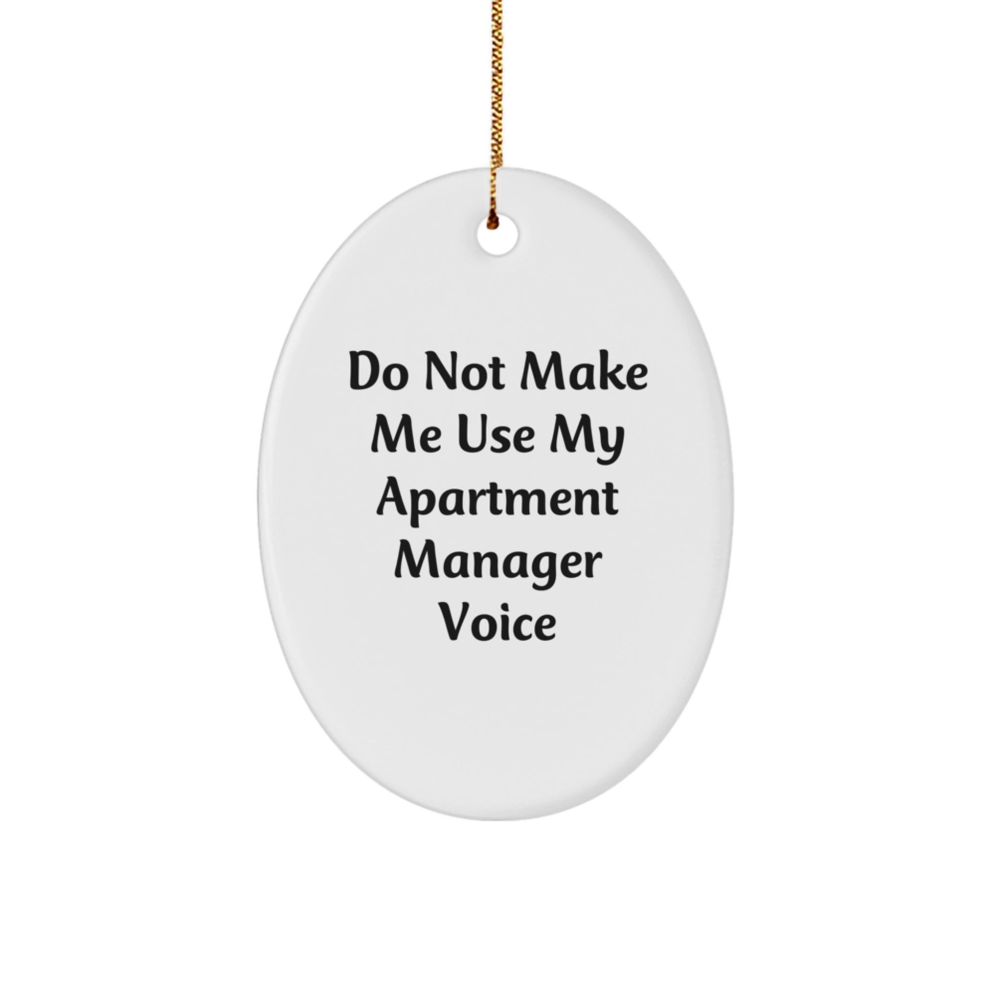 Funny Apartment Manager Gifts from Friends, Oval Shaped Christmas Unique Gifts for Apartment Managers, Do Not Make Me Use My Apartment Manager Voice - Image 1