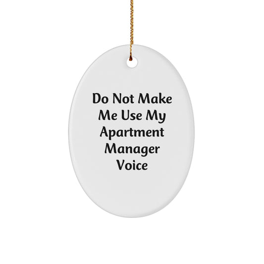 Funny Apartment Manager Gifts from Friends, Oval Shaped Christmas Unique Gifts for Apartment Managers, Do Not Make Me Use My Apartment Manager Voice - Image 1