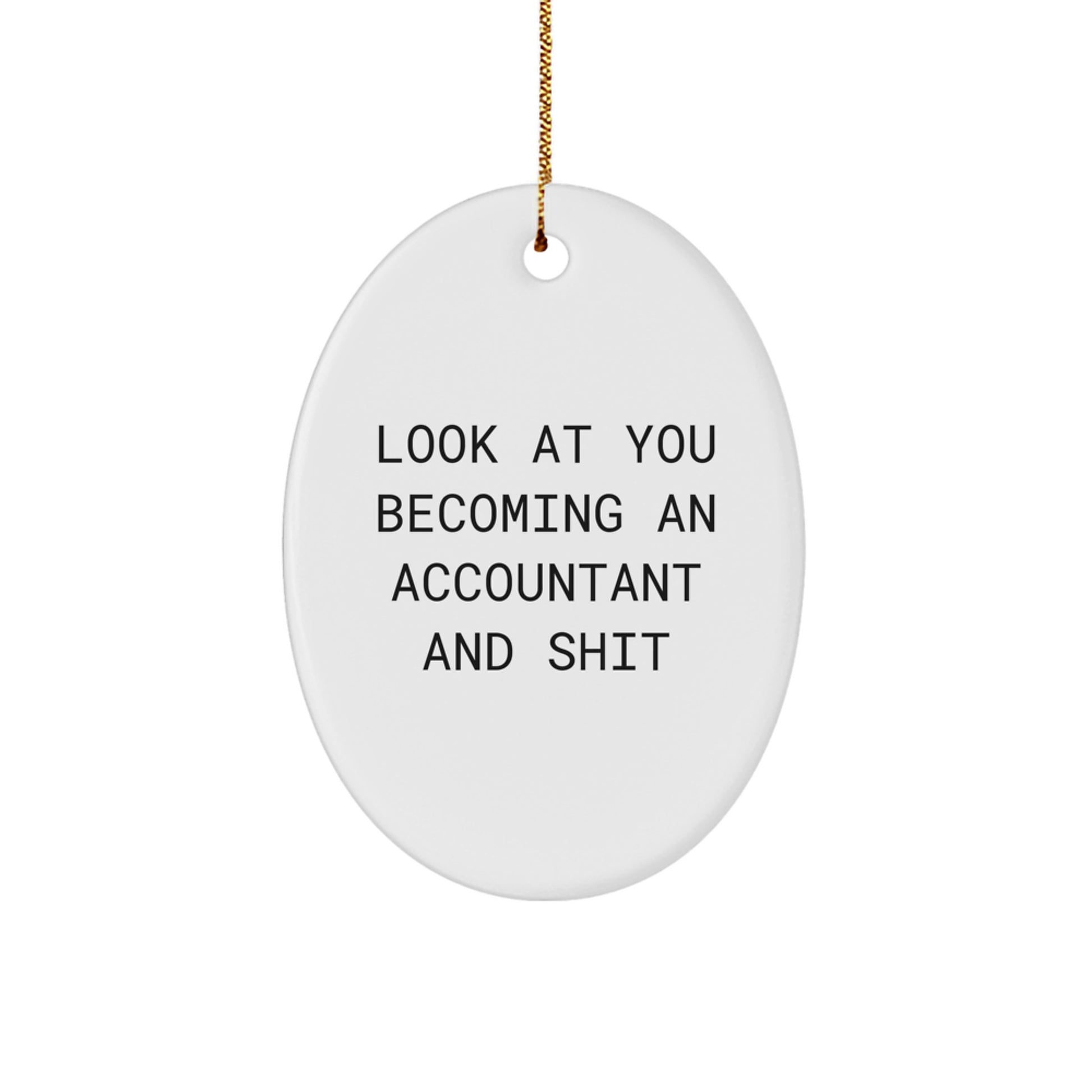 Funny Accountant Gifts for Men, Oval Ornament Christmas Unique Presents from Friends, Coworkers, Family, 'Look At You Becoming An Accountant And Shit' Oval Shaped White MDF MDF - Image 1
