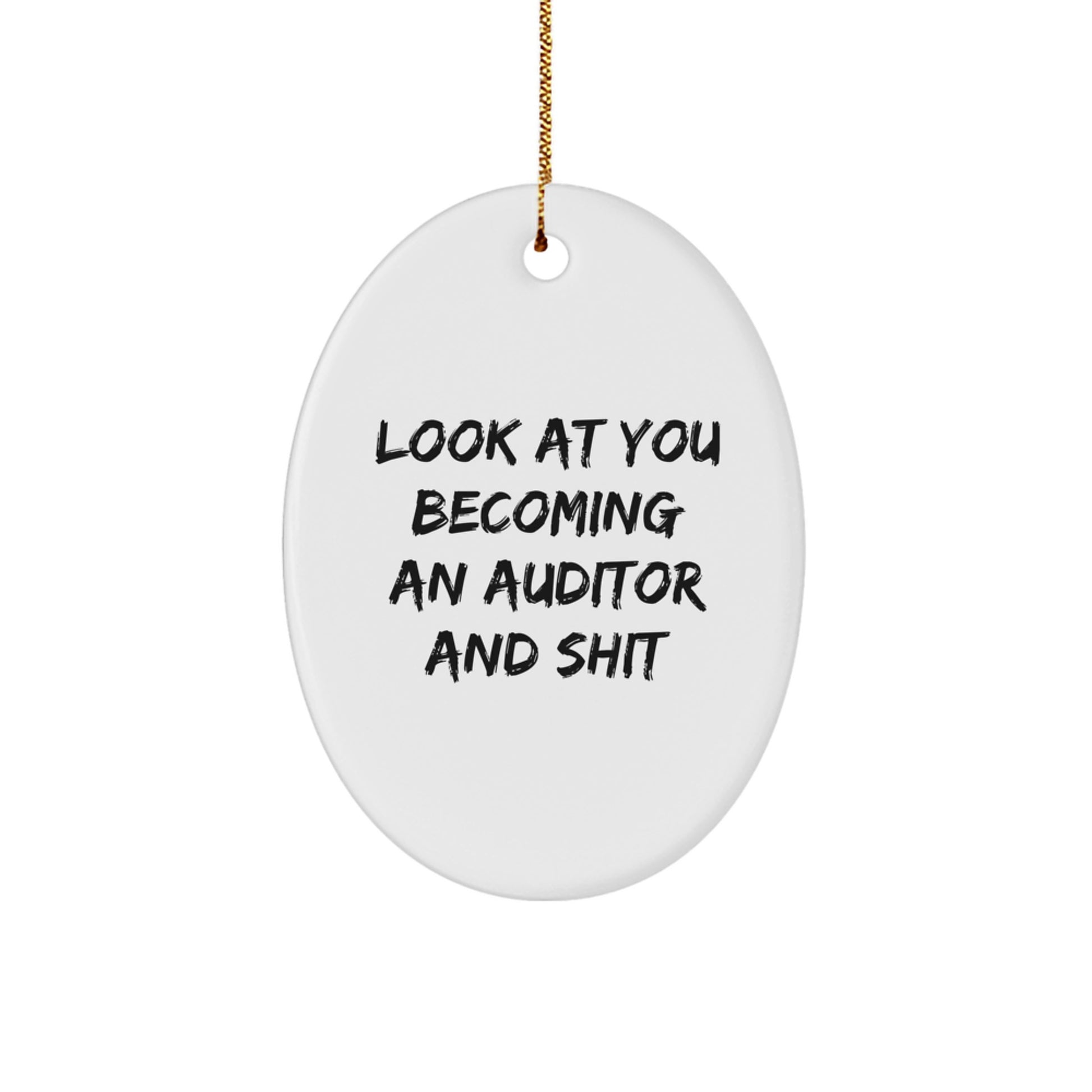 Funny Quote Gifts from Family for Auditor Friends Oval Ornament Unique Christmas Decorations - Image 1