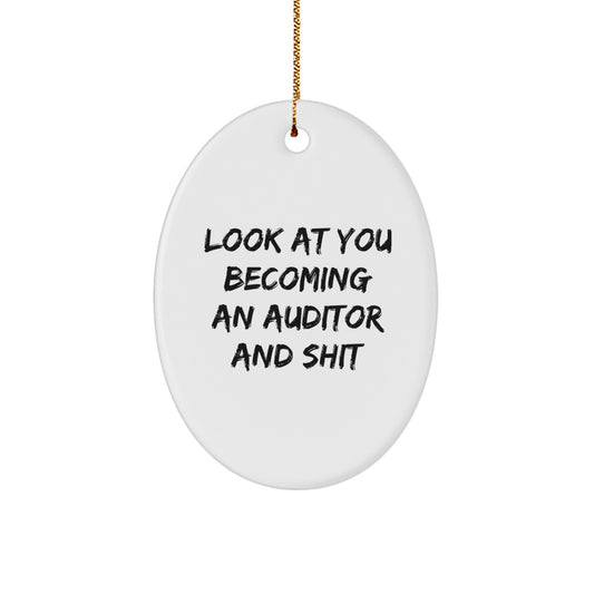 Funny Quote Gifts from Family for Auditor Friends Oval Ornament Unique Christmas Decorations - Image 1