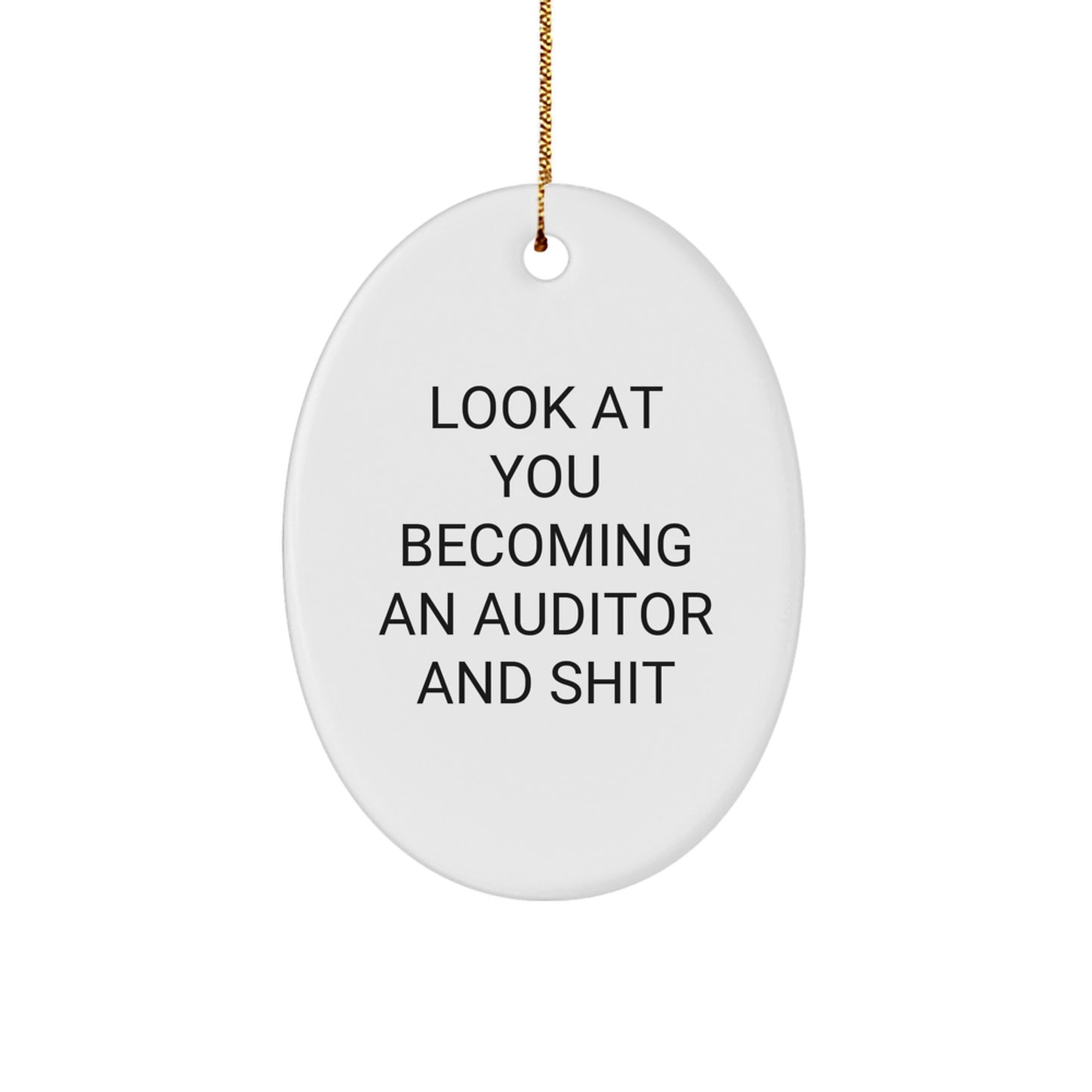 Funny Auditor Oval Ornament Gift for Men, Gifts from Family to Friends, Unique Christmas Unique Gifts for Auditor - Image 1