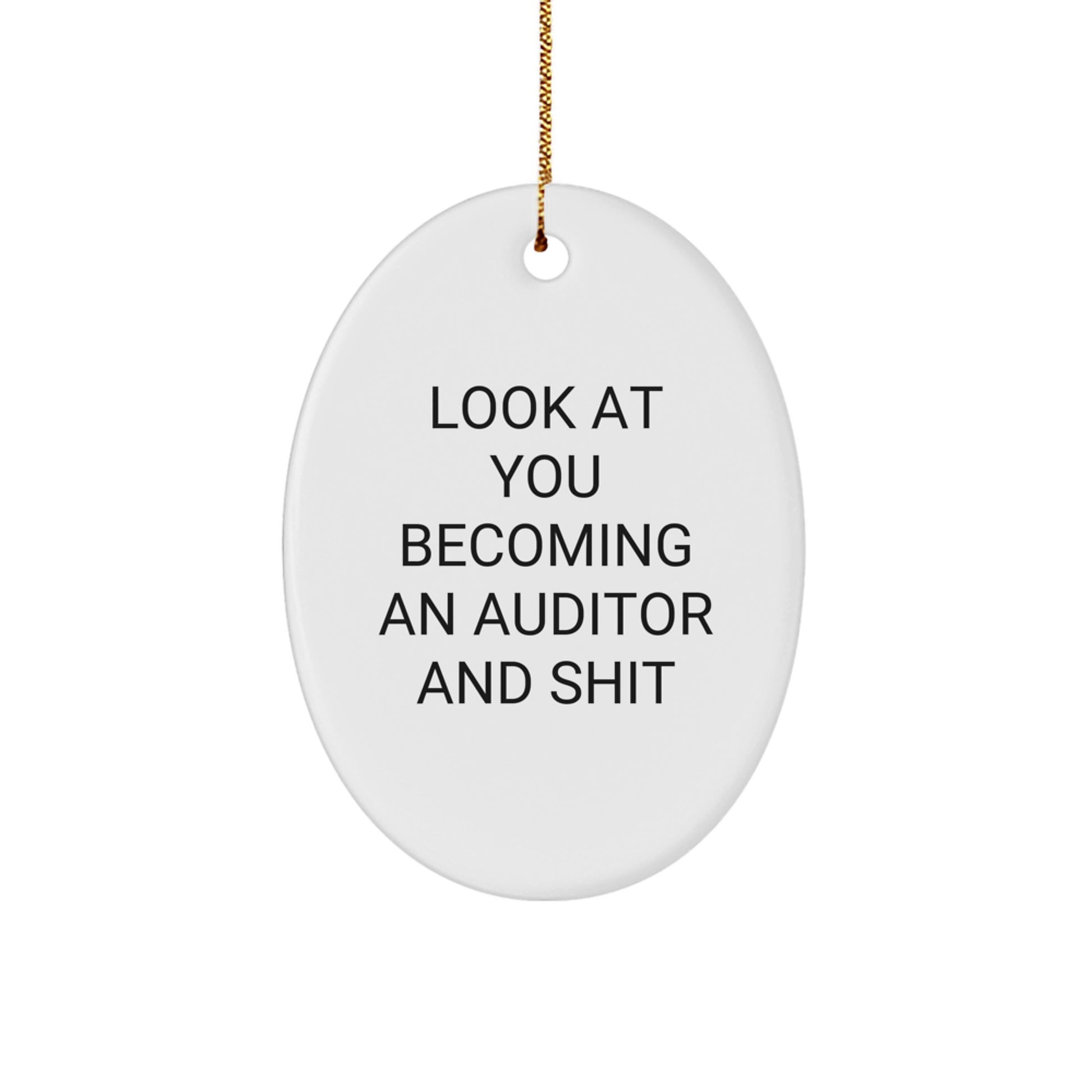 Funny Auditor Oval Ornament Gift for Men, Gifts from Family to Friends, Unique Christmas Unique Gifts for Auditor - Image 1