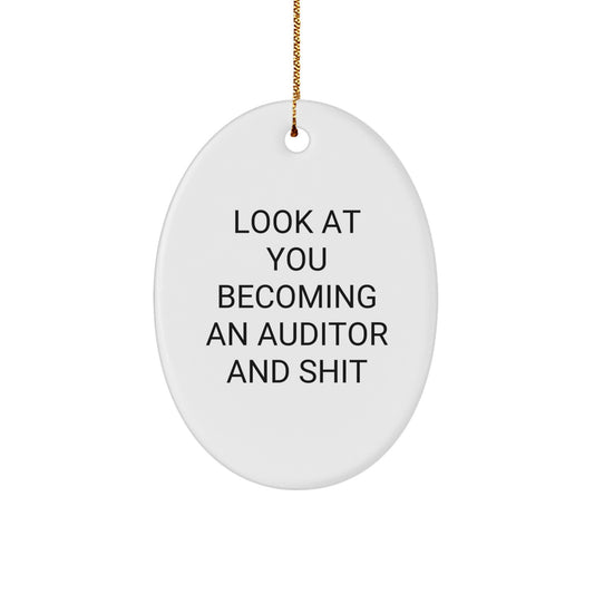 Funny Auditor Oval Ornament Gift for Men, Gifts from Family to Friends, Unique Christmas Unique Gifts for Auditor - Image 1