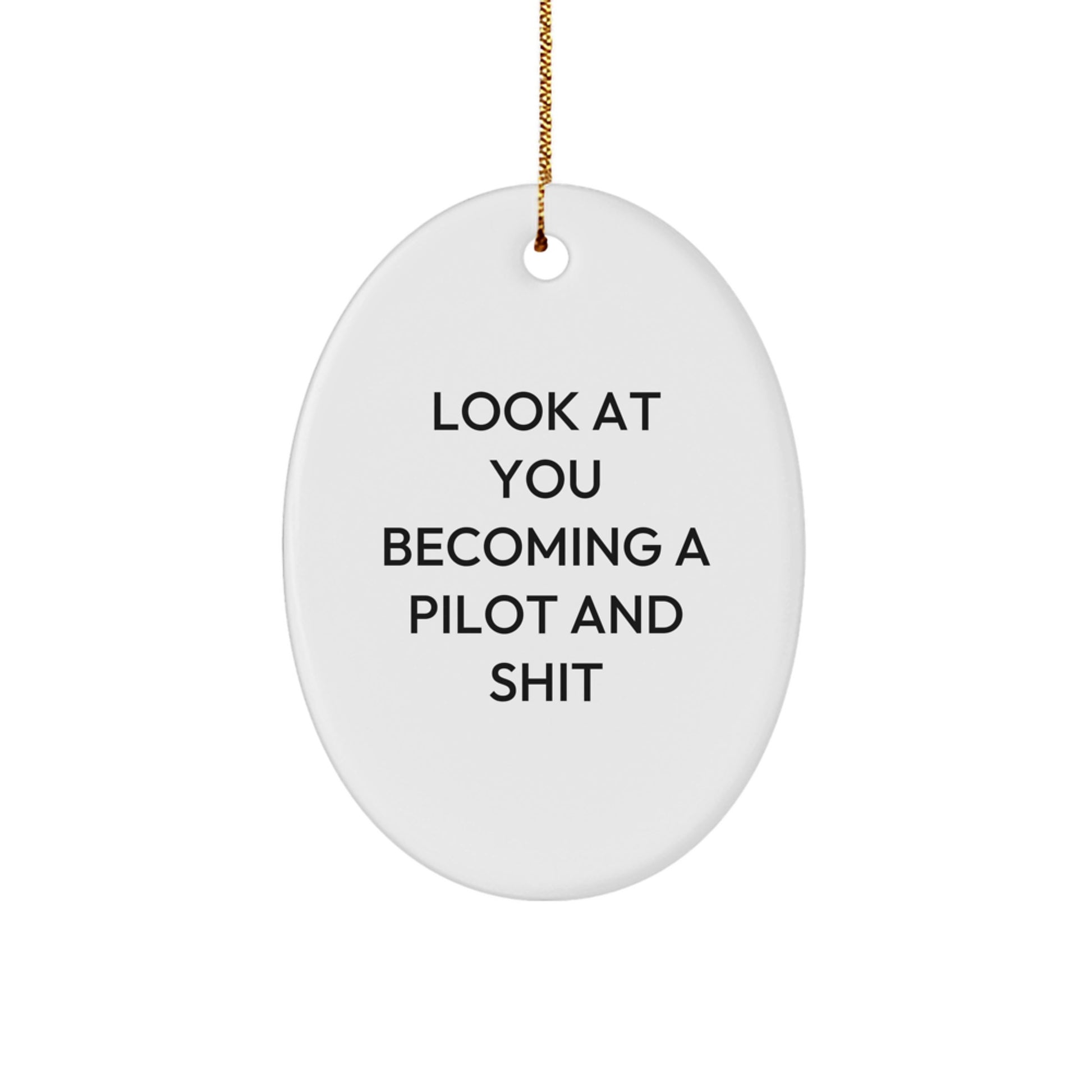 Funny Pilot Gifts for Men Christmas Oval Ornament, Inspirational Quote Gifts from Friends, Look At You Becoming A Pilot And Shit Gifts for Pilot - Image 1
