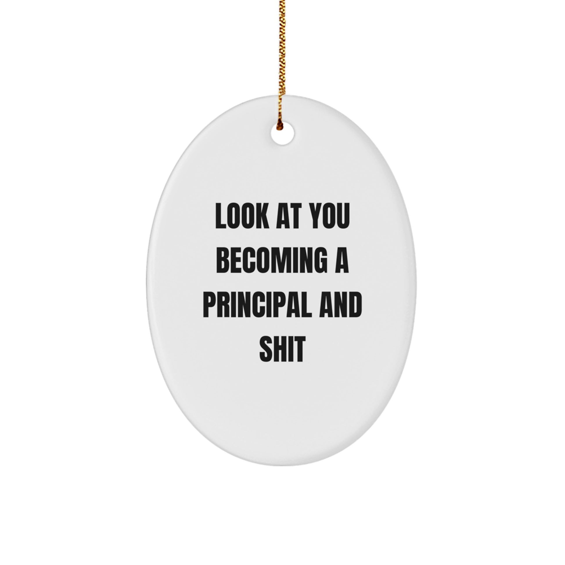 Funny Principal Gifts, Oval Ornament for Principal, Look At You Becoming A Principal And Shit, Christmas Unique Gifts from Friends - Image 1