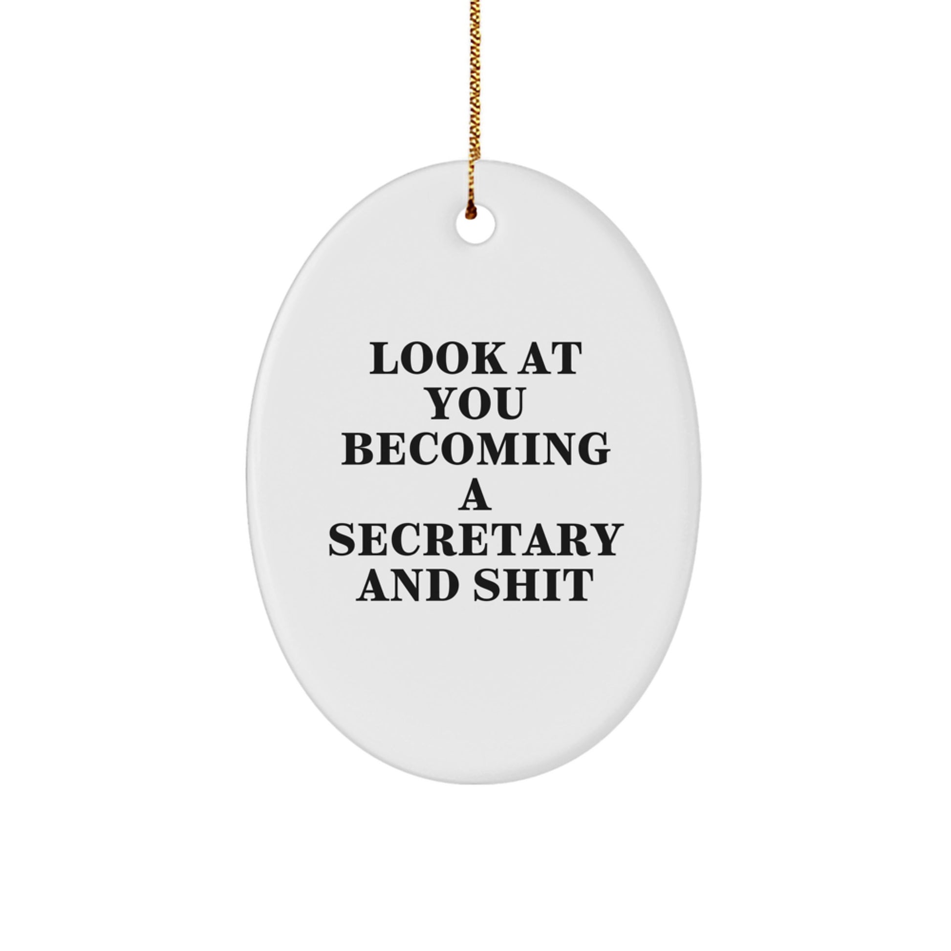 Funny Secretary Gifts for Her Office - Oval Ornament with Look At You Becoming A Secretary And Shit Humor, Perfect Unique Christmas Memorable Presents - Image 1