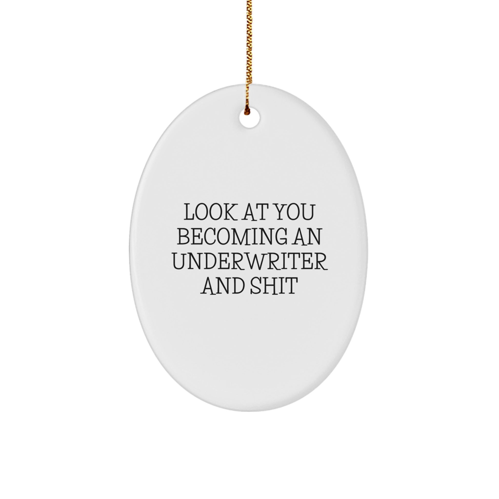 Funny Underwriter Gifts, Oval Ornament for Him, 'Look At You' Quote, Unique Christmas Unique Gifts from Friends - Image 1