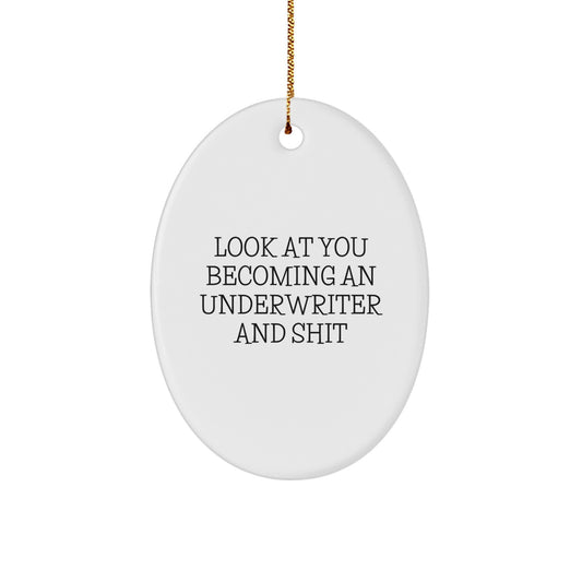 Funny Underwriter Gifts, Oval Ornament for Him, 'Look At You' Quote, Unique Christmas Unique Gifts from Friends - Image 1