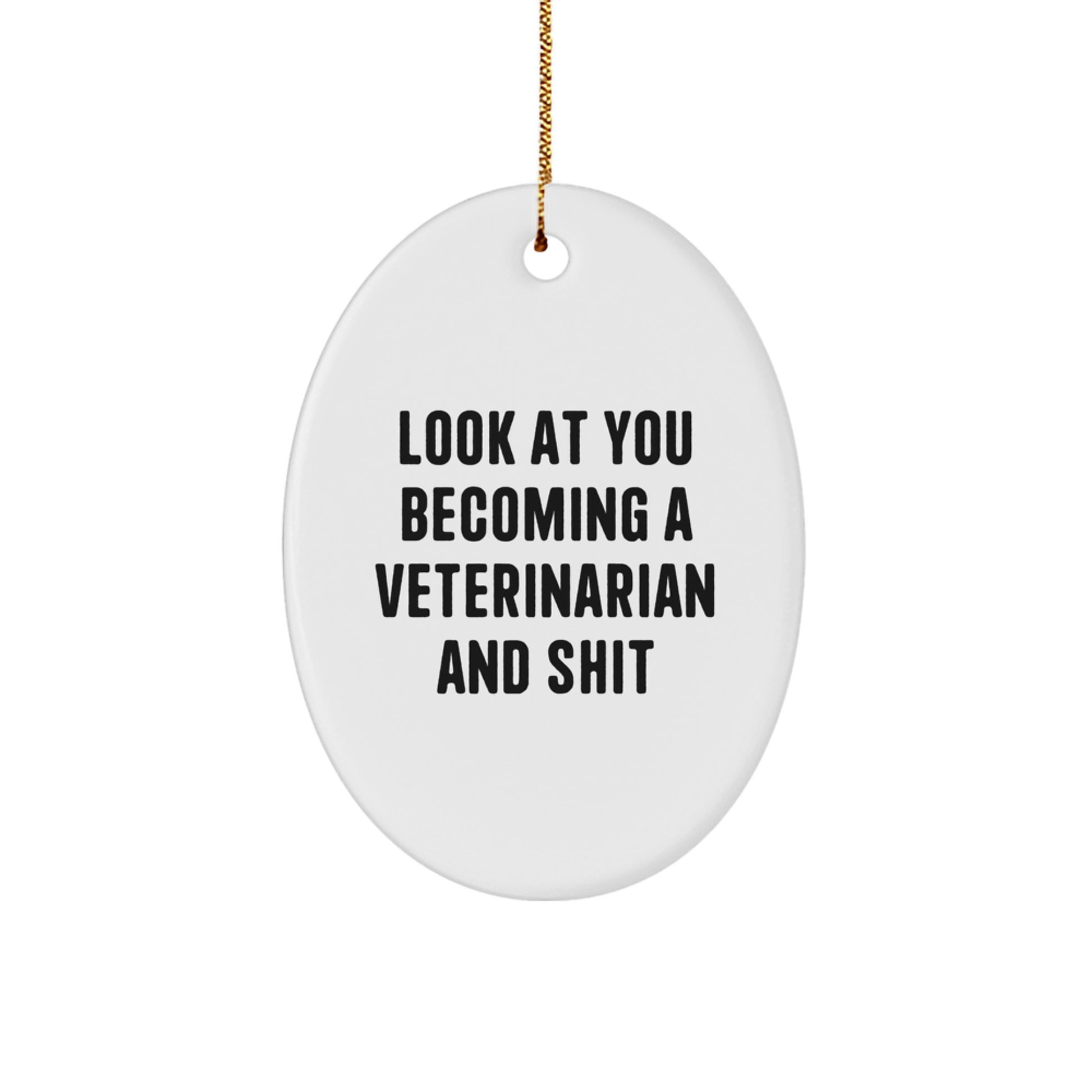 Funny Veterinarian Gifts for Christmas, Oval Ornament with Inspirational Quote for Veterinary School Graduates, Gifts from Friends and Family - Image 1