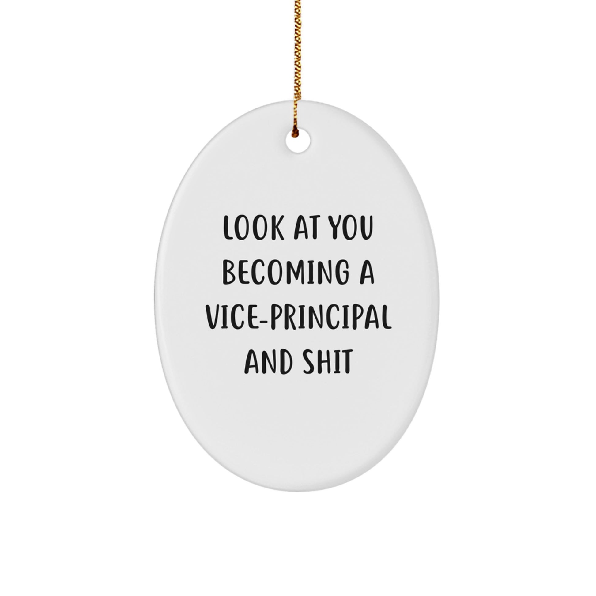 Funny Vice-principal Oval Ornament Gifts from Men to Vice-principal for Christmas Unique - Image 1