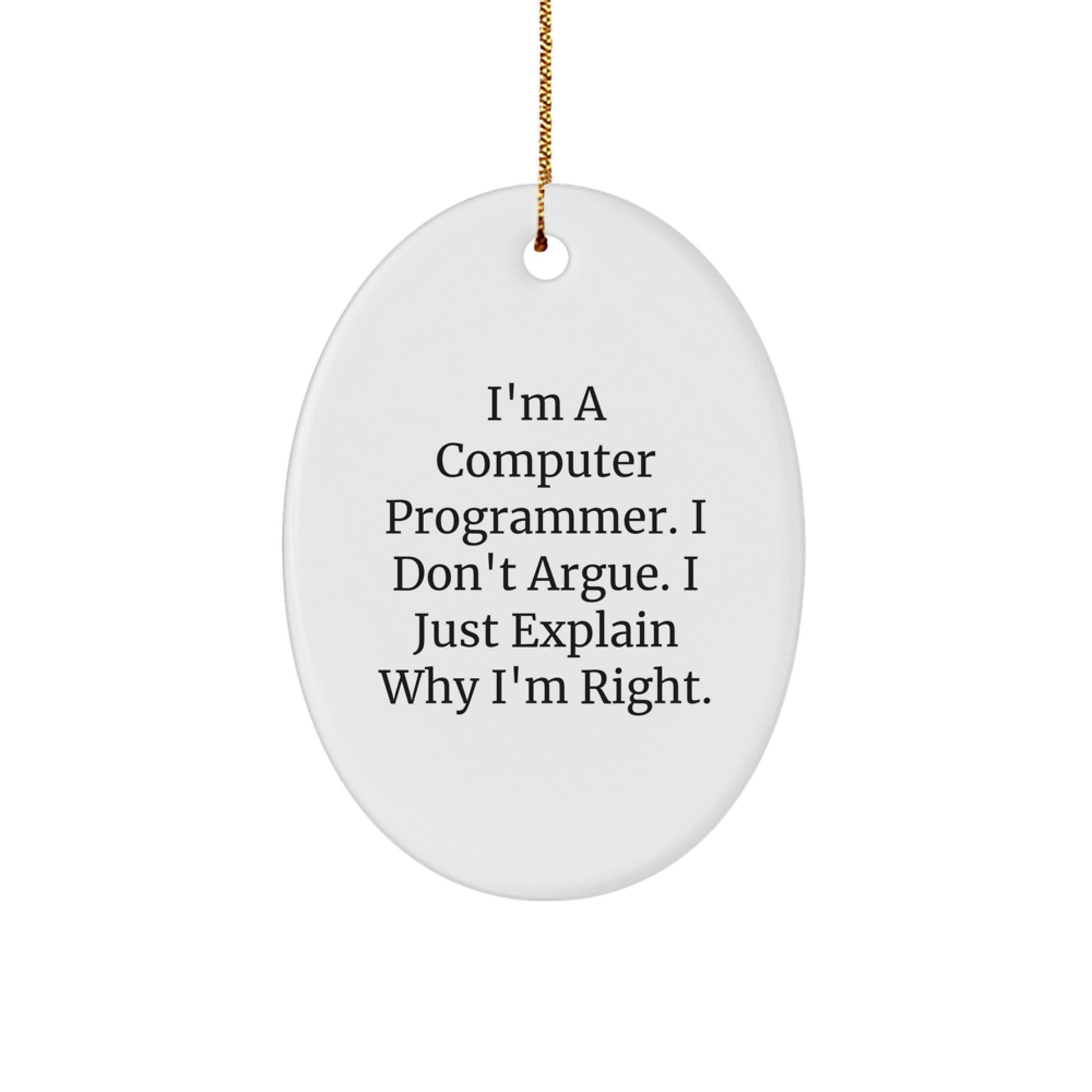 Funny Computer Programmer Oval Ornament Gifts from Friends for Men Christmas Unique - Image 1