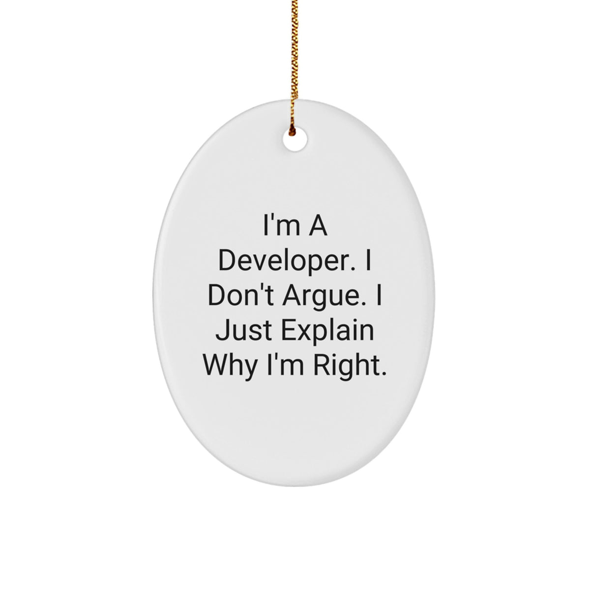 Sarcastic Developer Christmas Ornament Gift for Friends - I Don't Argue - Image 1