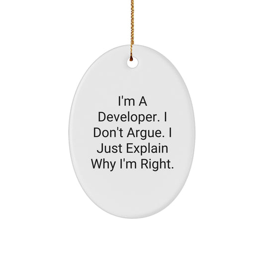 Sarcastic Developer Christmas Ornament Gift for Friends - I Don't Argue - Image 1
