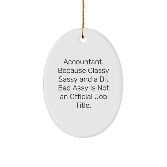 Accountant Oval Ornament Funny Quote Gifts from Coworkers, Friends, Family for Men, Women, Unique Christmas Unique Gifts - Image 1
