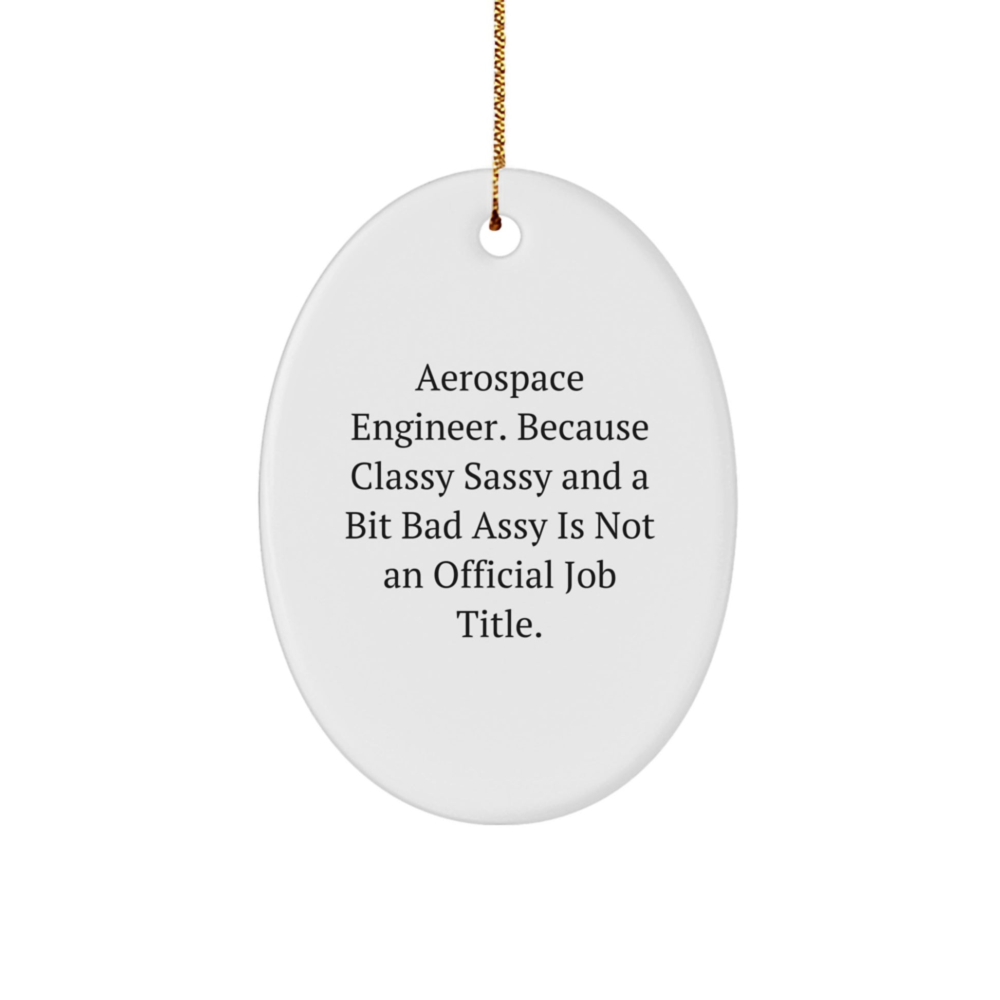 Funny Aerospace Engineer Gift, Oval Ornament for Classy Sassy Friends, Christmas Unique Gifts from Men to Aerospace Engineer - Image 1
