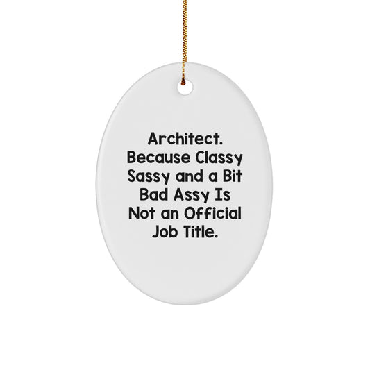 Funny Architect Oval Ornament Christmas Unique Gifts for Men from Friends, Oval Architect Decorations with Humor, Unique Christmas Unique Gifts for Him - Image 1