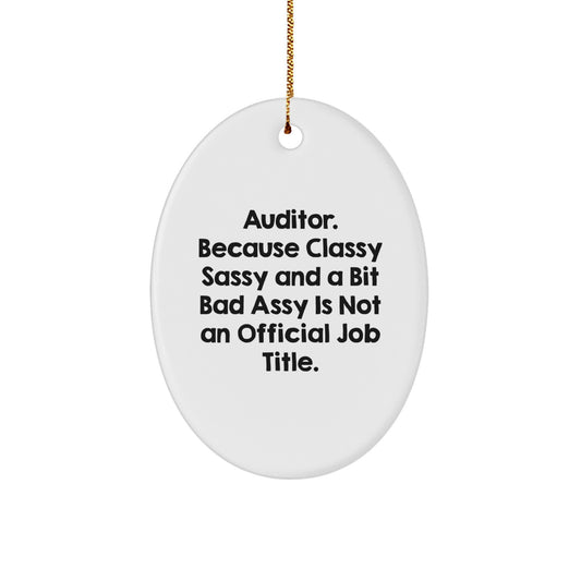 Funny Oval Ornaments Gifts for Auditors from Family Members Men Christmas Unique Decorations, Auditor Oval Shaped Decorations Gifts for Coworkers Women Friends - Image 1