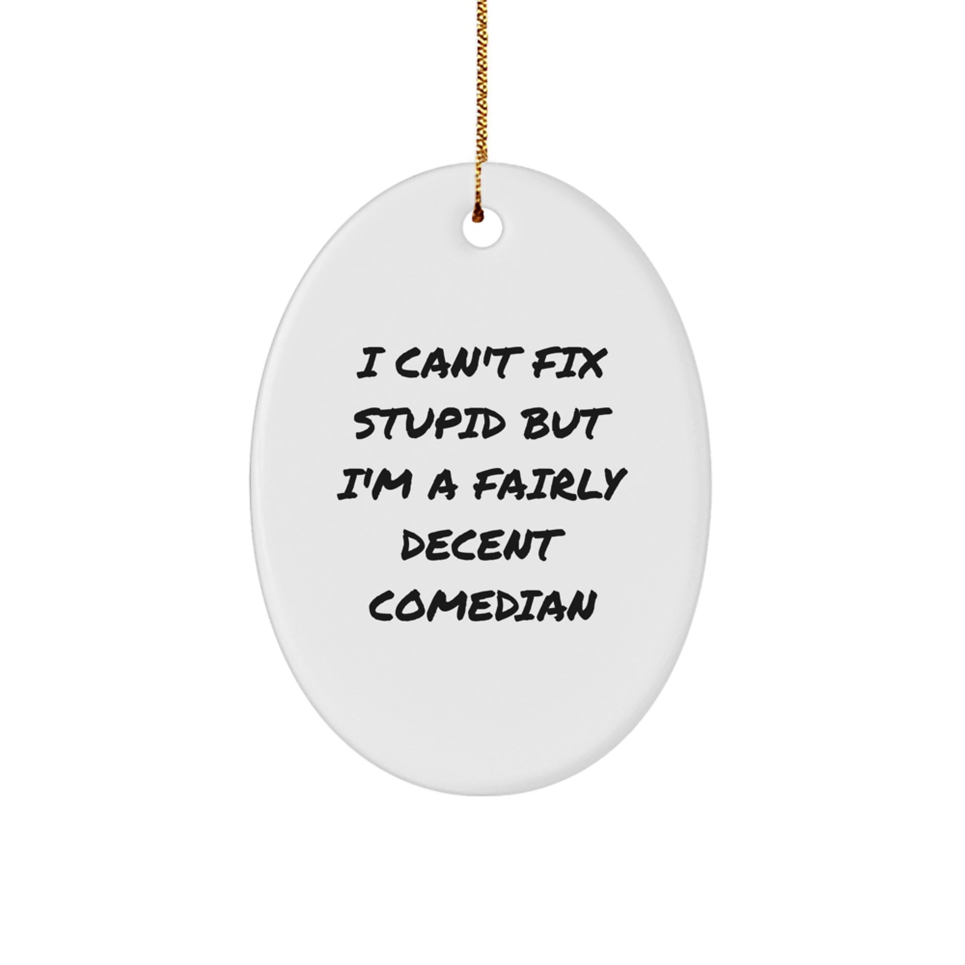 Funny Comedian Oval Ornament Gifts for Men, Women, Comedian Fans, Friends, Coworkers - I Can't Fix Stupid Decorations from Family, Comedian Lovers - Image 1