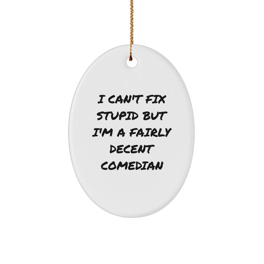 Funny Comedian Oval Ornament Gifts for Men, Women, Comedian Fans, Friends, Coworkers - I Can't Fix Stupid Decorations from Family, Comedian Lovers - Image 1