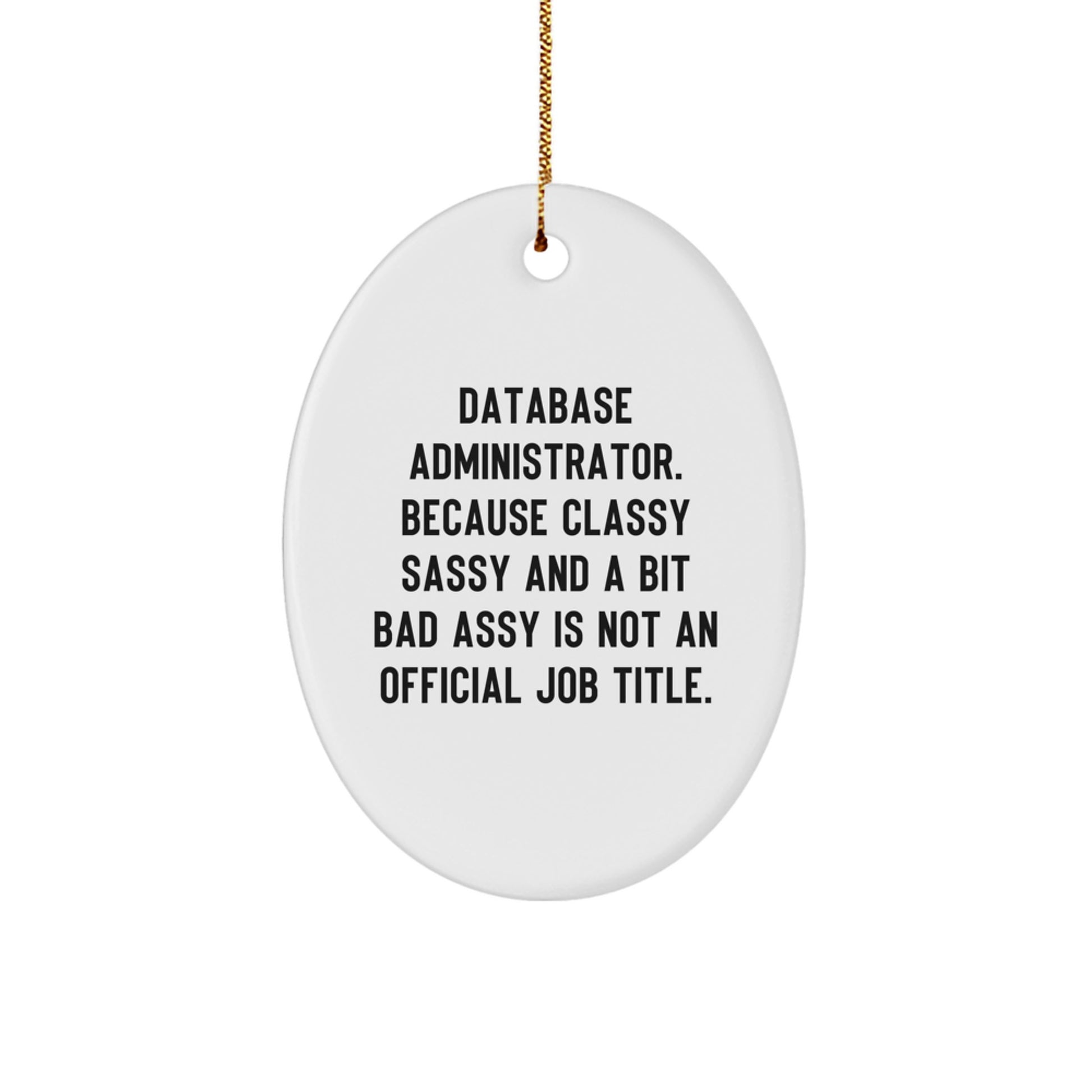 Funny Database Administrator Gifts for Men, Oval Ornament with Quote: Because Classy Sassy And A Bit Fearlessy Is Not An Official Job Title, Christmas Unique Gifts from Friends - Image 1