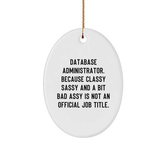 Funny Database Administrator Gifts for Men, Oval Ornament with Quote: Because Classy Sassy And A Bit Fearlessy Is Not An Official Job Title, Christmas Unique Gifts from Friends - Image 1