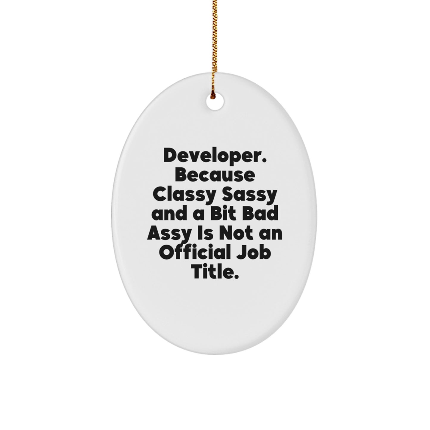 Developer Gifts for Men Oval Ornament, Funny Quote Gifts from Friends, Christmas Unique Gifts for Developer Friends - Image 1