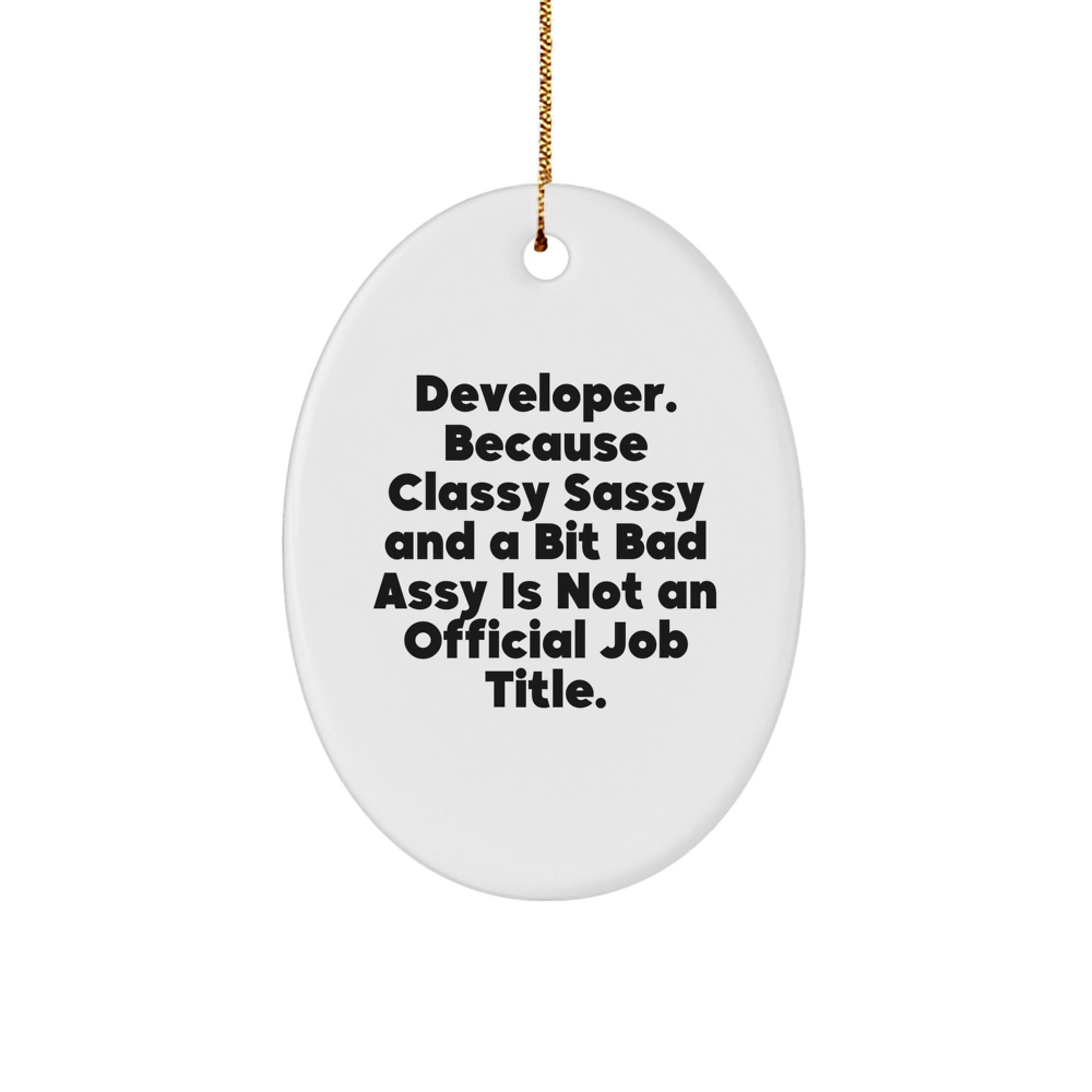 Developer Gifts for Men Oval Ornament, Funny Quote Gifts from Friends, Christmas Unique Gifts for Developer Friends - Image 1