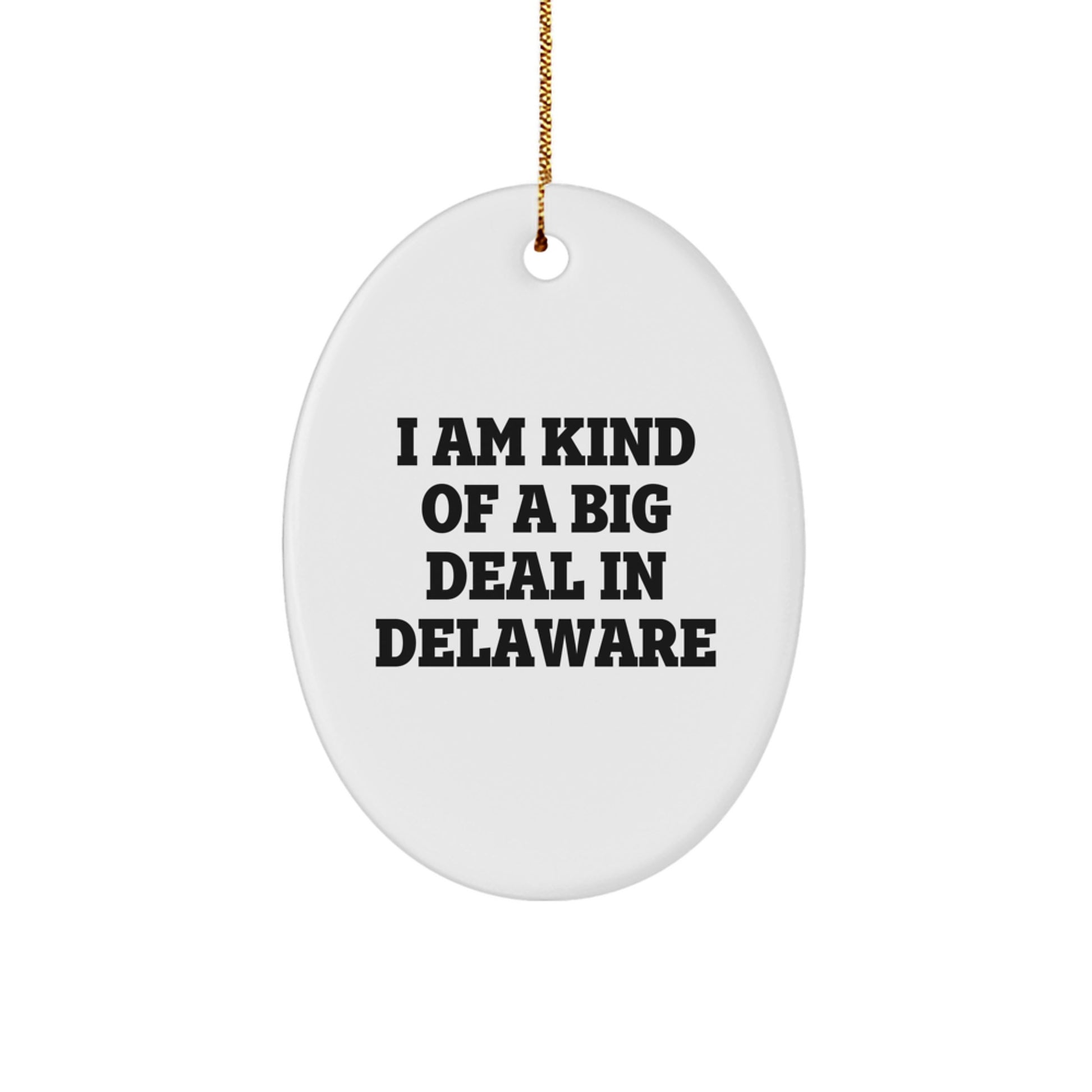 Delaware Gifts from Men Christmas Unique Gifts - Oval Ornament 'I Am Kind Of A Prime Selection In Delaware' for Friends Family - Image 1