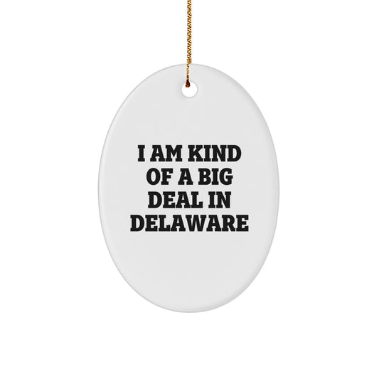Delaware Gifts from Men Christmas Unique Gifts - Oval Ornament 'I Am Kind Of A Prime Selection In Delaware' for Friends Family - Image 1