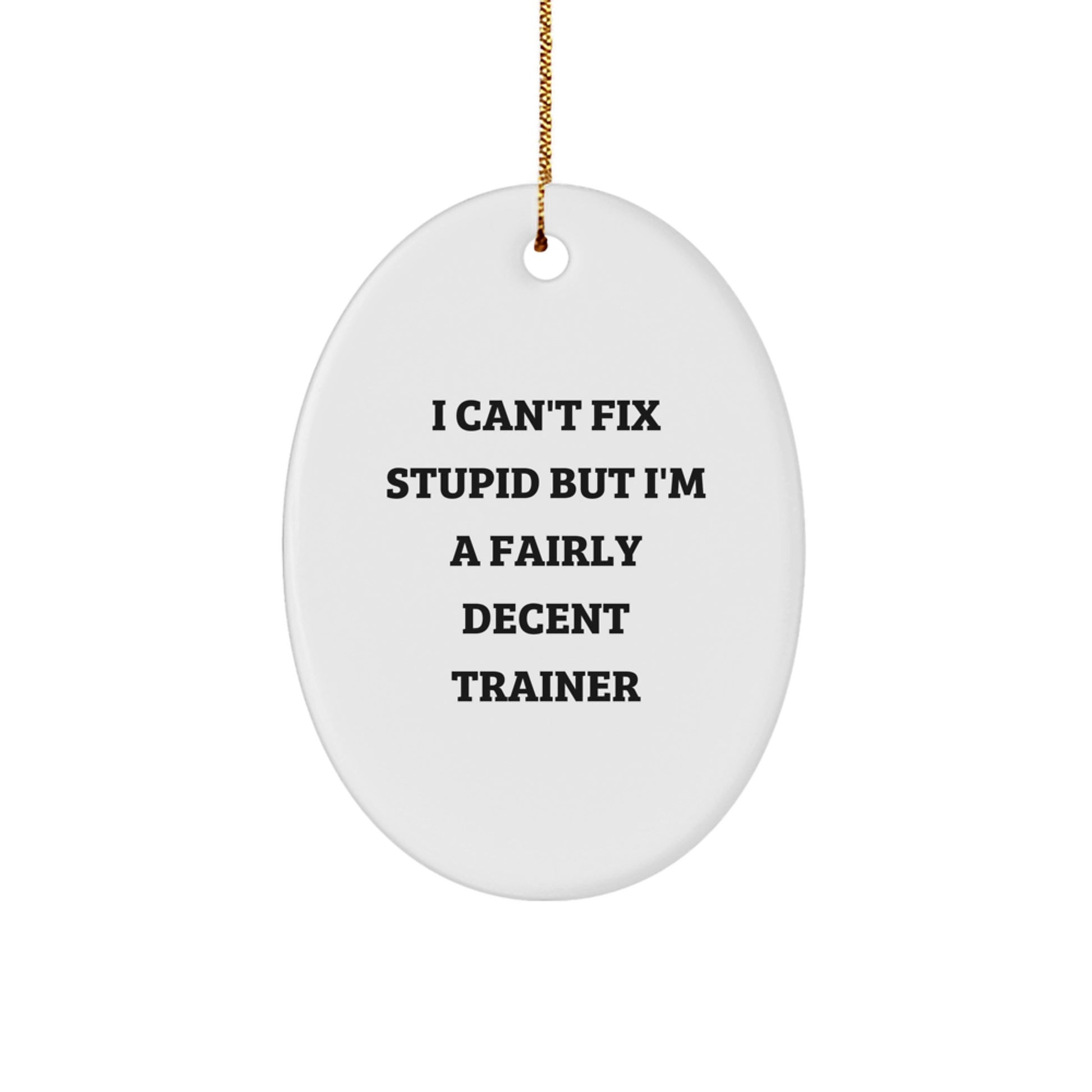 Funny Trainer Oval Ornament Gifts from Friends, Christmas Unique Gifts for Trainer, Oval Shaped with I Can't Fix Stupid But I'm A Fairly Decent Trainer Quote - Image 1