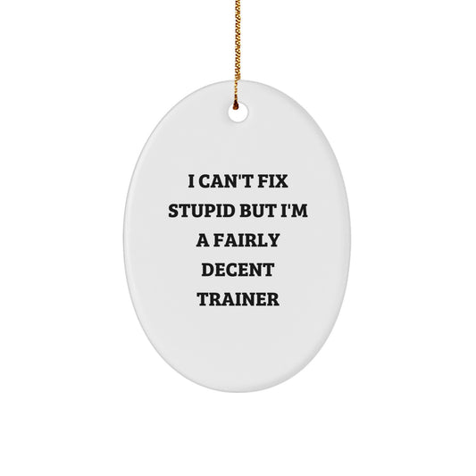 Funny Trainer Oval Ornament Gifts from Friends, Christmas Unique Gifts for Trainer, Oval Shaped with I Can't Fix Stupid But I'm A Fairly Decent Trainer Quote - Image 1