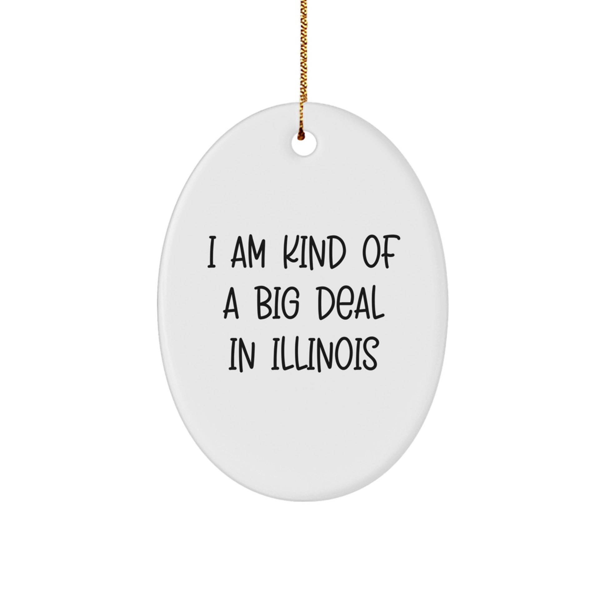 Funny Illinois Oval Ornament Gifts from Friends for Men Women Family - I Am Kind Of A Prime Selection In Illinois Christmas Decor - Image 1
