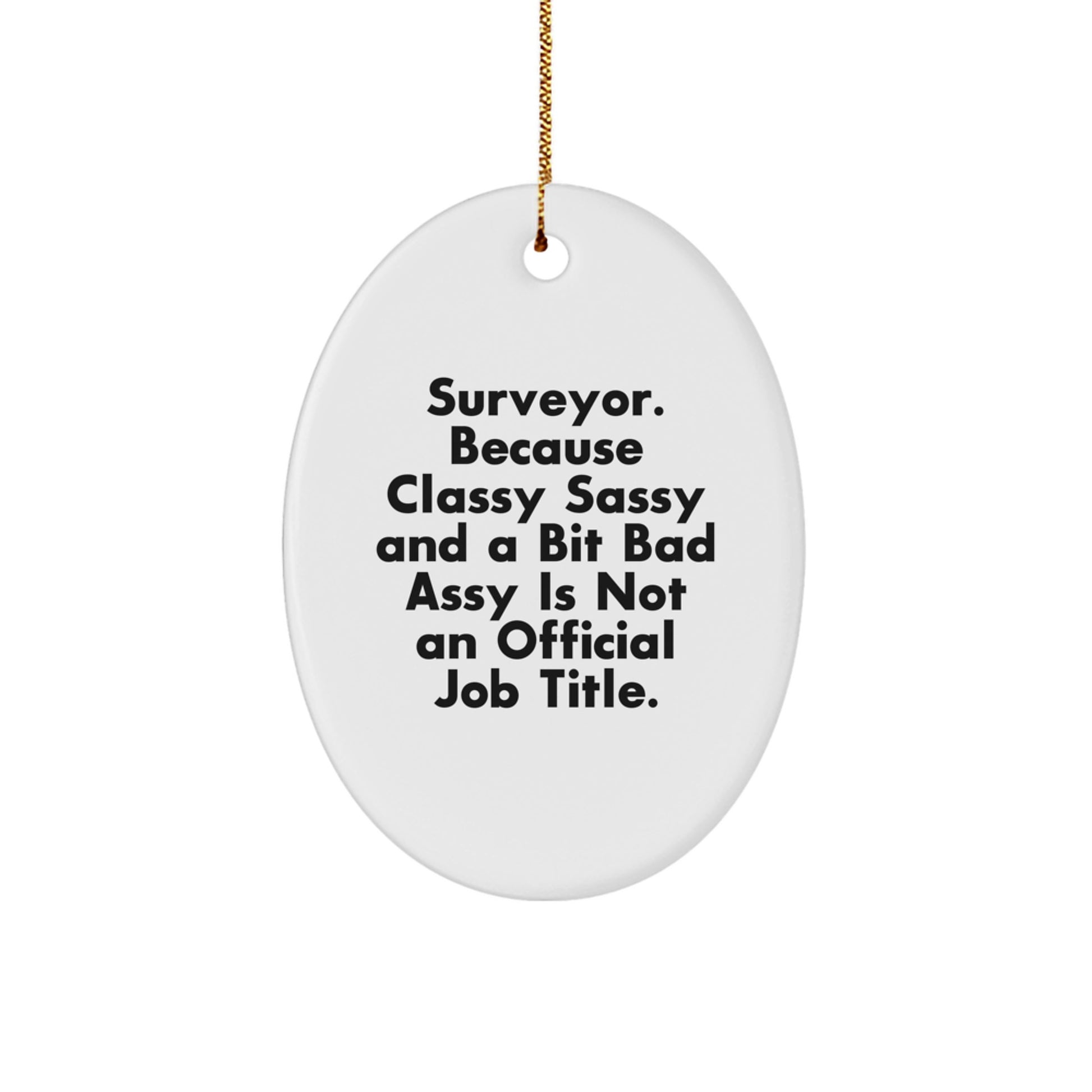 Funny Surveyor Gifts from Friends for Surveyor Men Oval Ornament - Surveyor Christmas Unique Gifts - Image 1