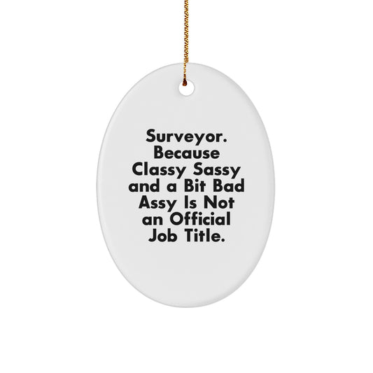 Funny Surveyor Gifts from Friends for Surveyor Men Oval Ornament - Surveyor Christmas Unique Gifts - Image 1